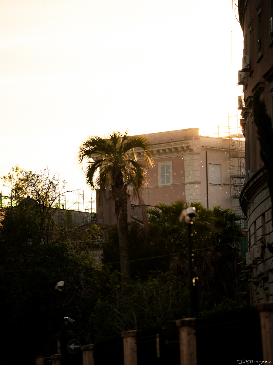 Photos from Rome, Venice, Florence, Tuscany, Manarola, Vernazza, Riomaggiore, Verona, Trento, and the Italian Alps in Spring of 2022.